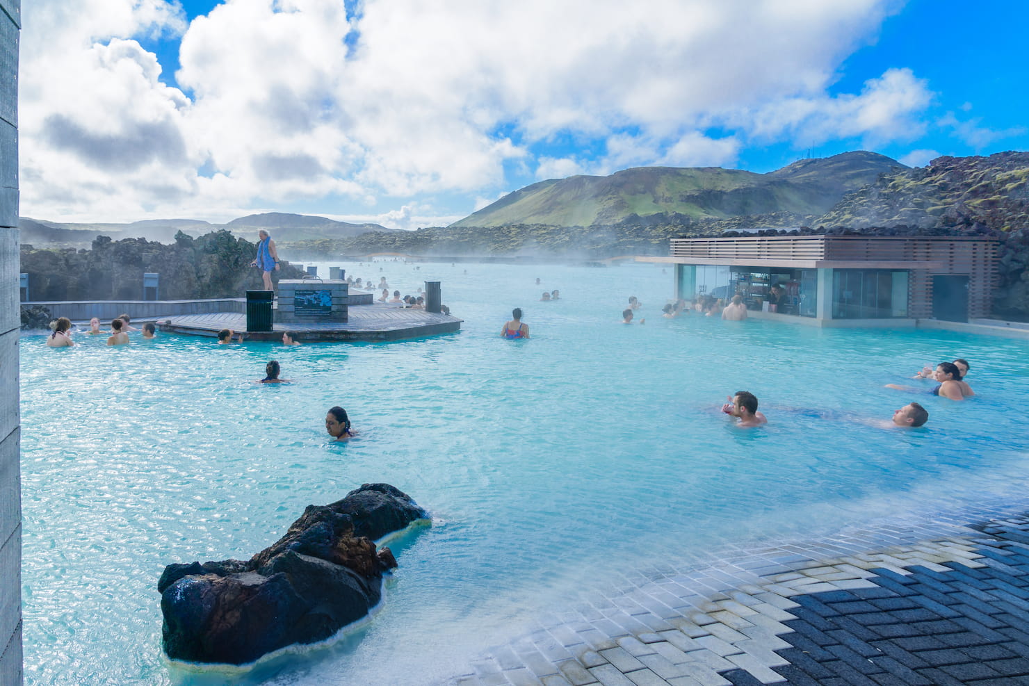 blue lagoon animali